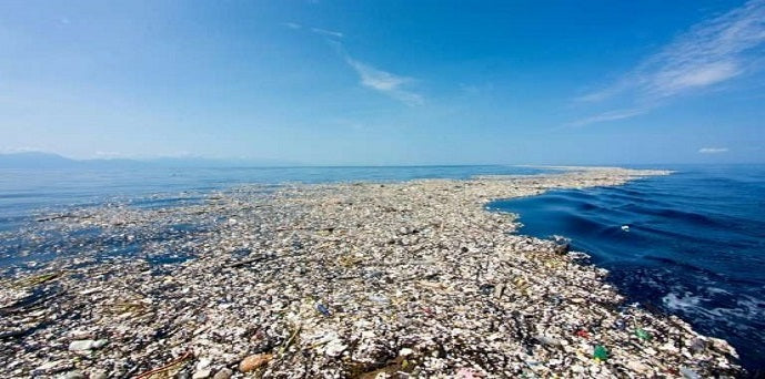 The Great Pacific Garbage Patch – What we know