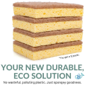 Biodegradable Kitchen Sponges 12 Pack