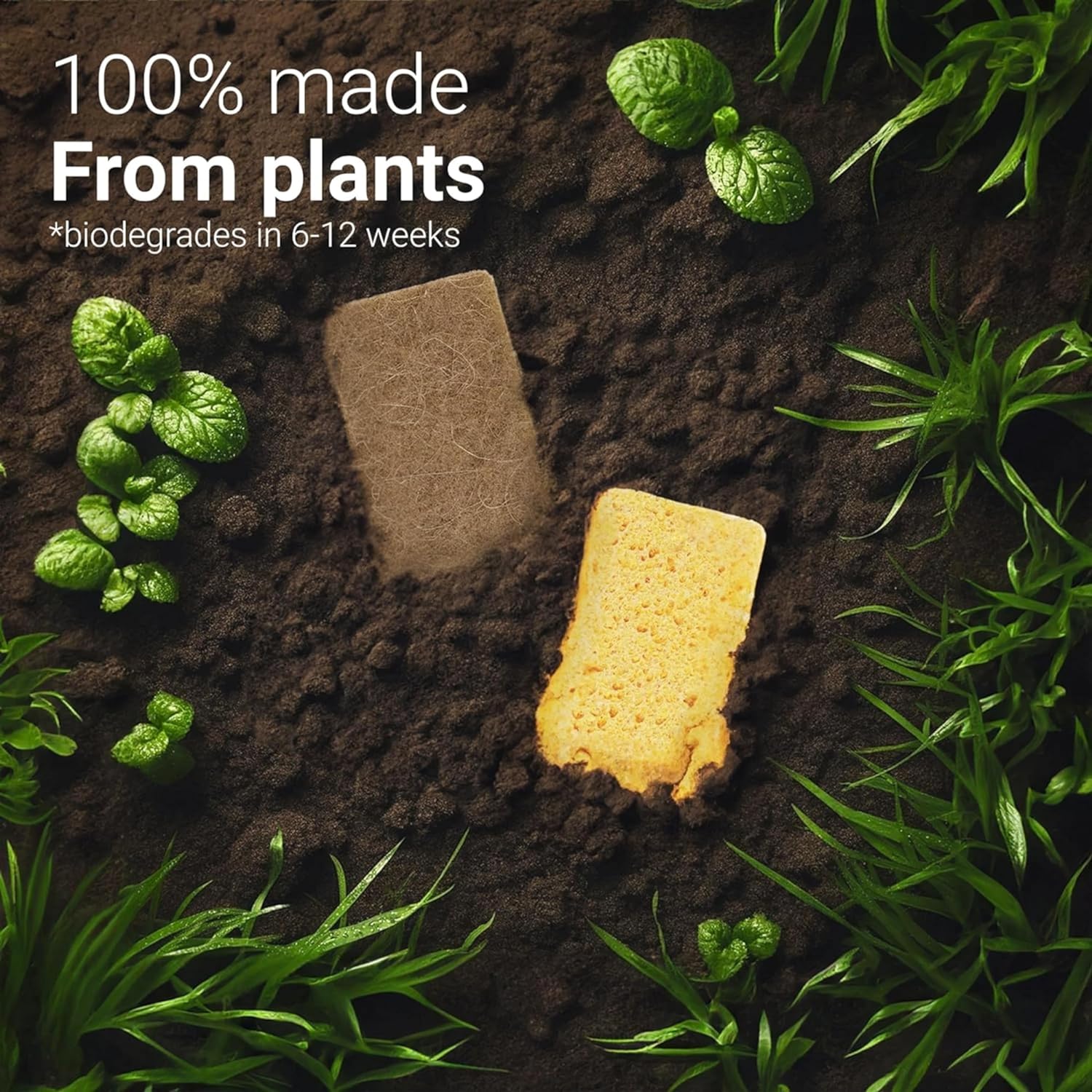 bioGo Compostable Plant Based Dish Sponges – bioGo Store