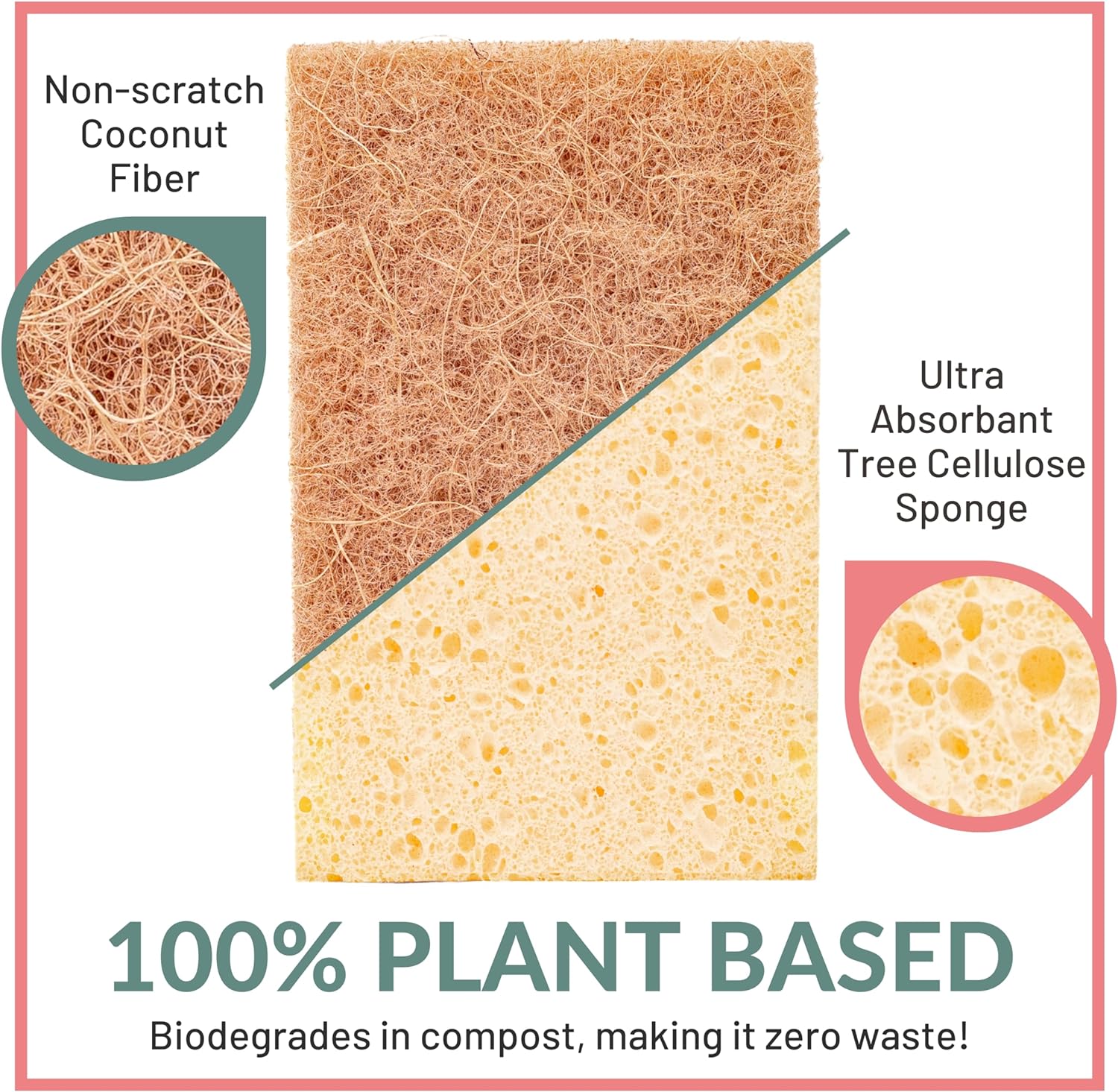 bioGo Compostable Plant Based Dish Sponges – bioGo Store