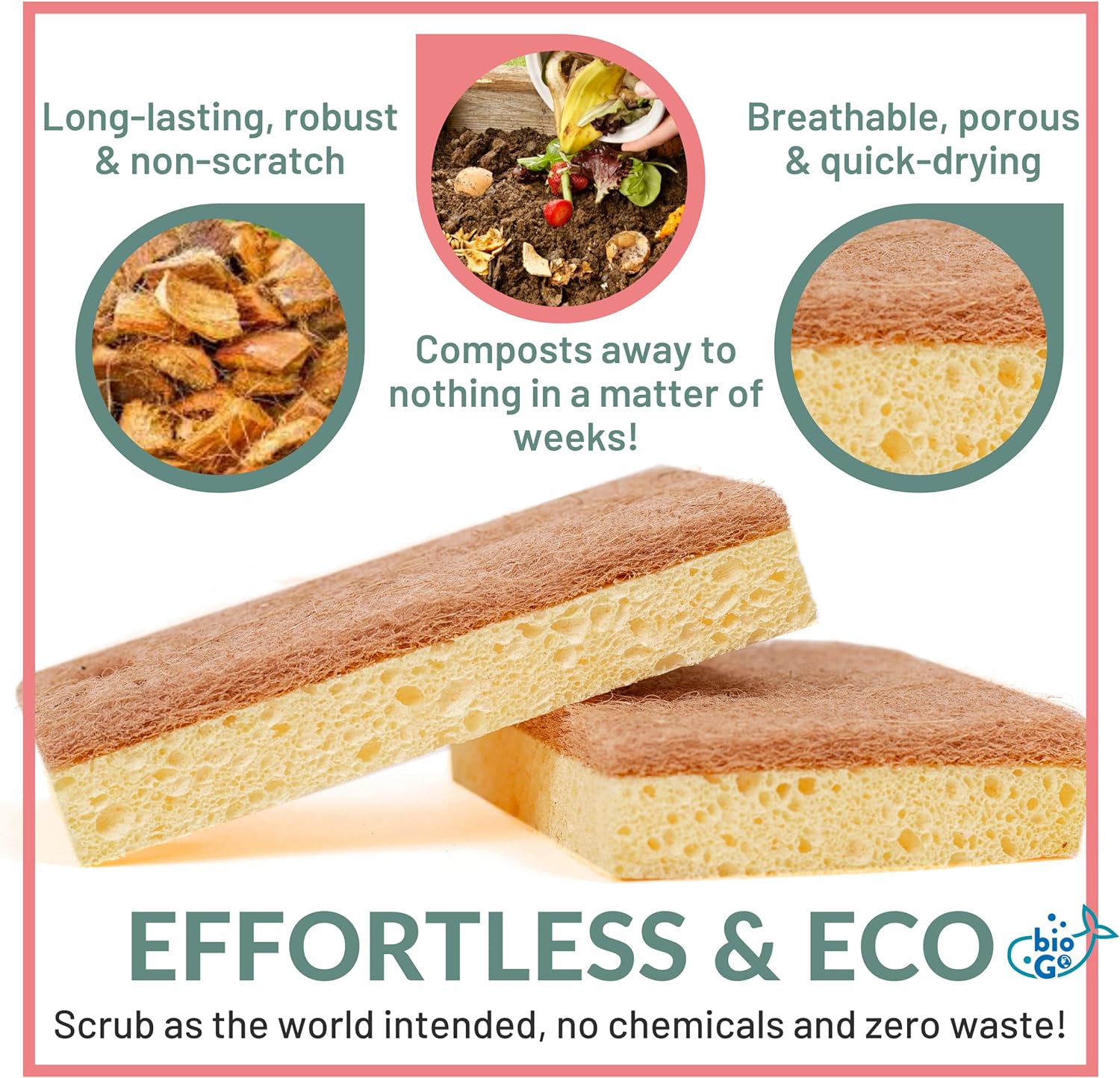 bioGo Compostable Plant Based Dish Sponges – bioGo Store