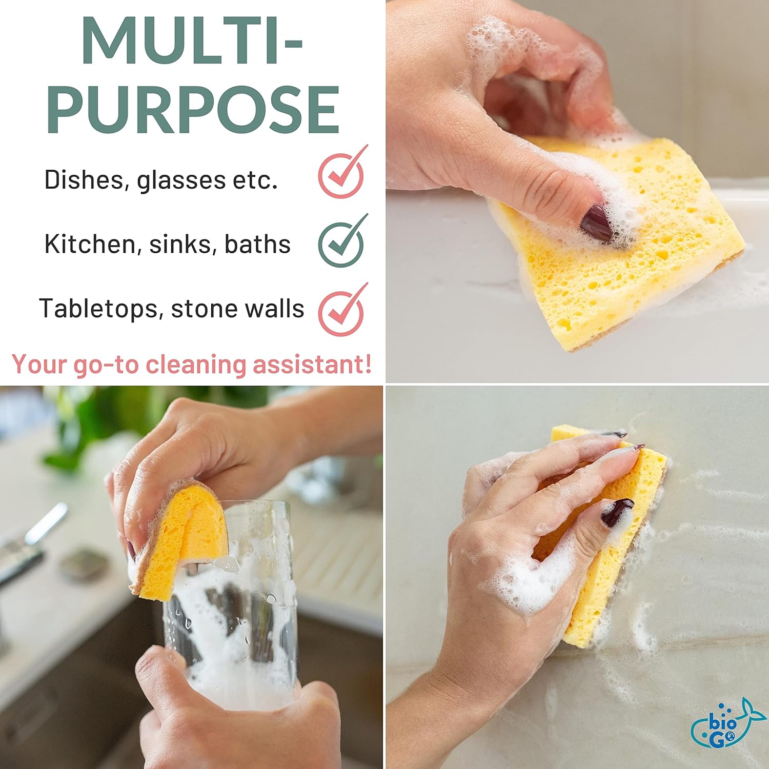 bioGo Compostable Plant Based Dish Sponges – bioGo Store