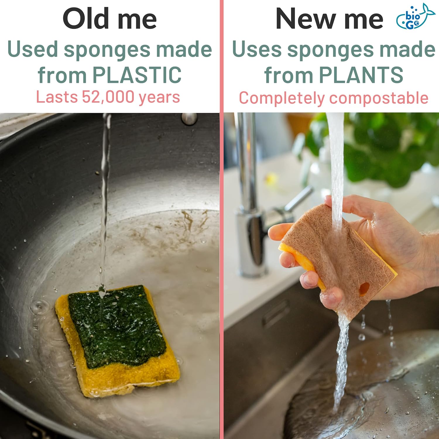 bioGo Compostable Plant Based Dish Sponges – bioGo Store
